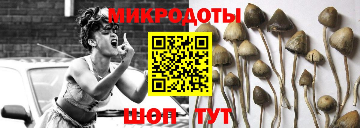 Псилоцибиновые грибы прущие грибы Белая Калитва